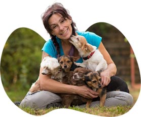 Jak adoptovat pejska